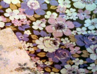 spaceless.com image 485