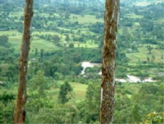 spaceless.com image 19