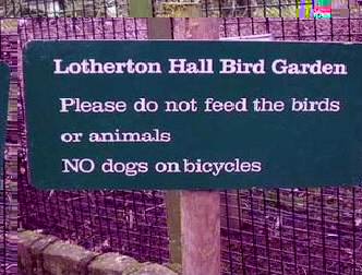 spaceless.com image 195