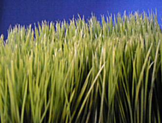 spaceless.com image 219