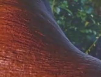 spaceless.com image 252