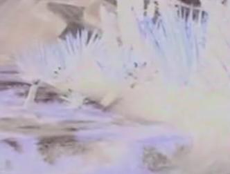 spaceless.com image 255