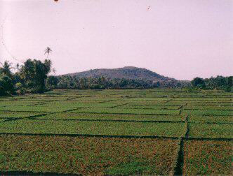 spaceless.com image 315