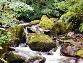 spaceless.com image 344