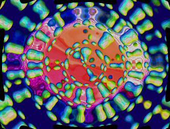 spaceless.com image 350