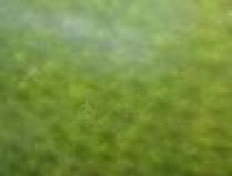 spaceless.com image 359