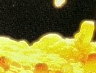 spaceless.com image 505