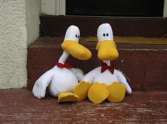 spaceless.com image 542