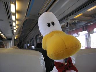 spaceless.com image 545