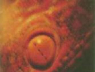 spaceless.com image 615