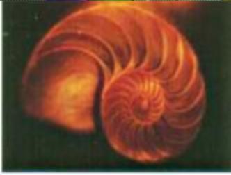 spaceless.com image 652