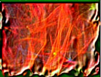 spaceless.com image 663