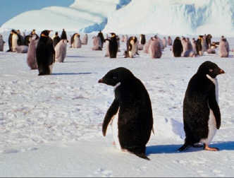 spaceless.com image 722