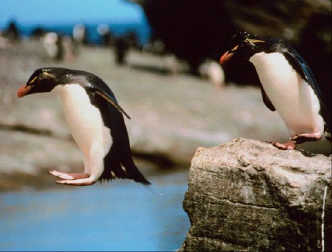 spaceless.com image 723