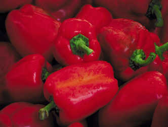 spaceless.com image 734