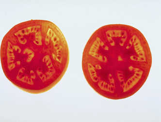 spaceless.com image 740