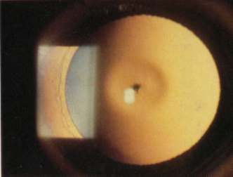 spaceless.com image 844